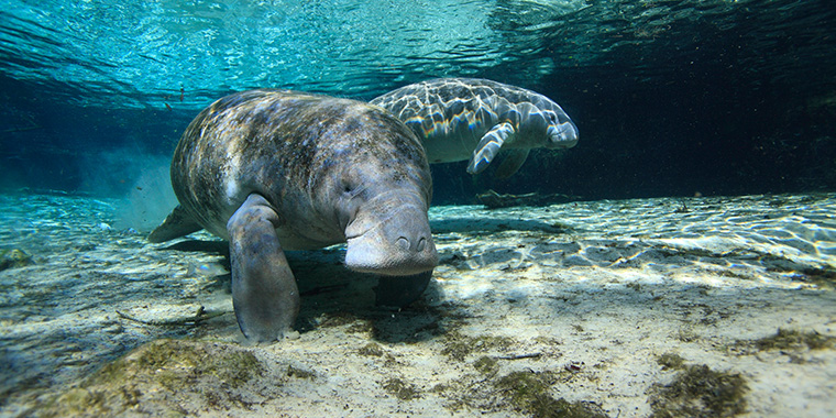 Best Camping Places Florida