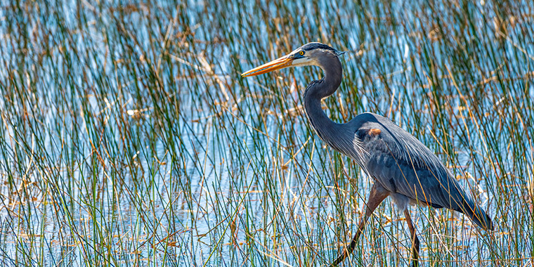 Best Camping Places Florida