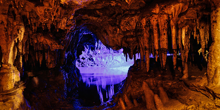 Best Camping Places Florida