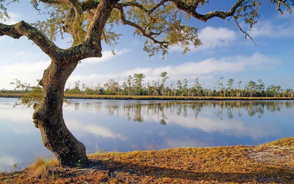 Camping in Florida Holiday Season