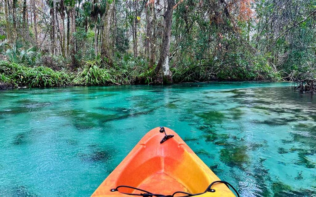 Best Summer Activities FL 2024